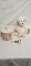 Longaberger and Boyd Bear Hope Items