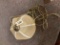 Wicker Swag Hanging Light