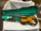 Violin in Case