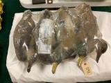 Set of 4 Carry Lite Plastic Duck Decoys - Still in Packaging