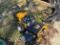 17 Cub Cadet C800 33
