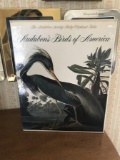 Audubon's Birds of America Folio Book - Peterson