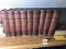 Set of 10 Volumes Books on Charles Dickens