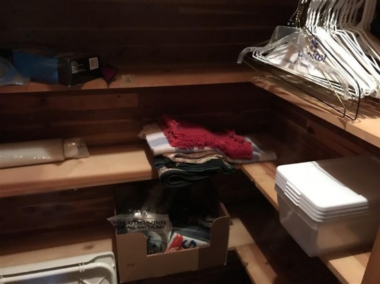 Contents of 3 Shelves in closet lot