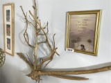 Two pictures and driftwood art