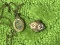 Early Jewelry Brooch and Locket