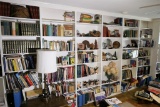 All of the books on the bookshelves in living room