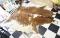 Large Sized Cow Hide Rug w/Brand Mark Nice