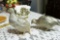 Pair of Vintage Made in Italy Table Pheasants