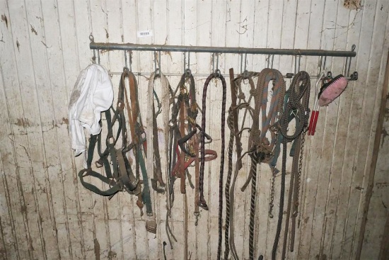 Rack of Horse Tack Items