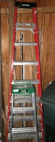 8' Werner Fiberglas Ladder + Small Metal Ladder