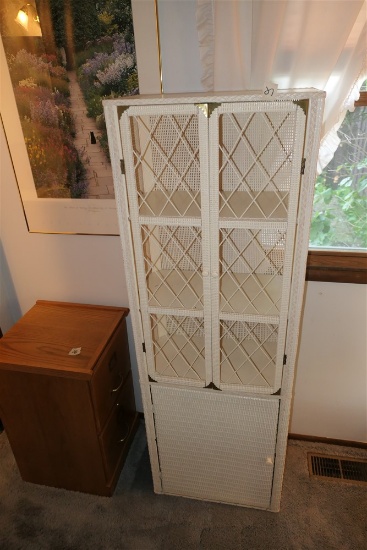 Wicker Style Storage Cabinet