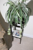 Antique plant stand w/plant, book