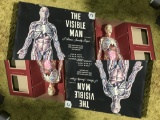 The Visible Man Science Toy in Box