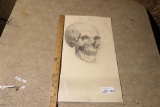Antique pencil sketch of human skull