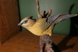 Carved wood and painted bird by Emeric Zuccaro