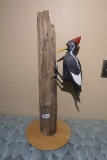 Carved wood and painted Woodpecker by Emeric Zuccaro