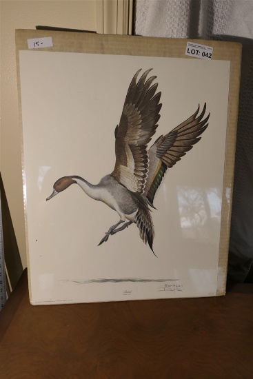 Signed Duck Print by Ray Harm