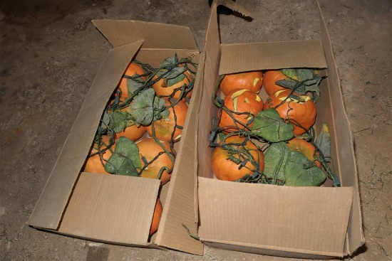 2 Boxes Halloween Pumpkin Lights