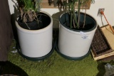 2 Large Stoneware Crocks with plants