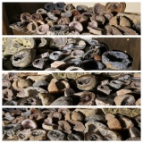 Large shelf assortment of Geode Stones