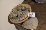 Group Lot of Mineral Crystals