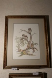 Signed and numbered owl print by Jim Wilson