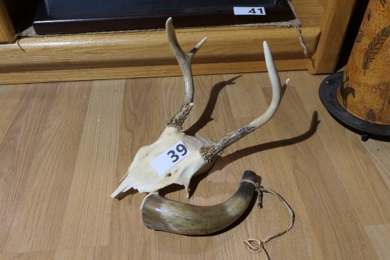 Skull with antlers, Older Powder Horn