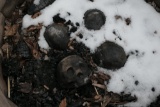 4 glowing firepit skulls