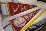 2 Antique Buckeye Lake Pennants