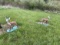 Pair of Vintage Cement Deer Lawn Statues