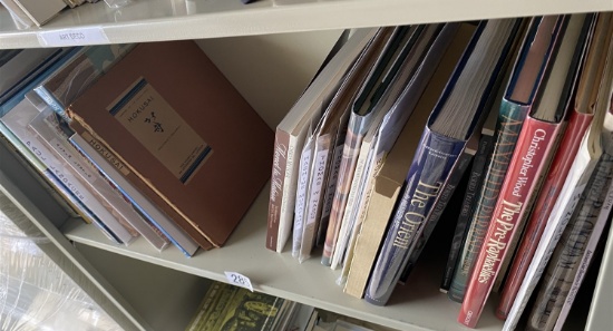 Shelf lot of better books on art