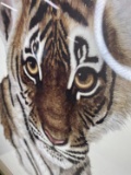 Ltd Edition Tiger Cub Print Signed by Jacquie Marie Vaux.