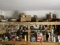 Garage shelves contents lot