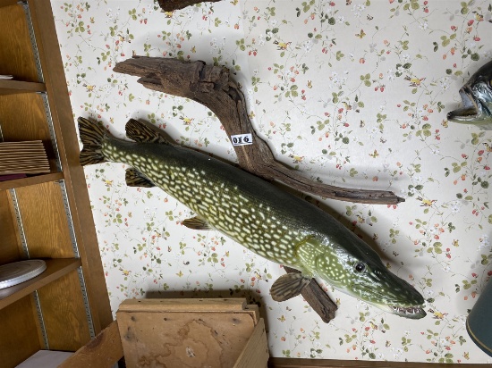 Vintage Freshwater Mounted Fish - Northern PIke