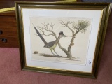 Vintage Ray Harm Signed Print of a Bird