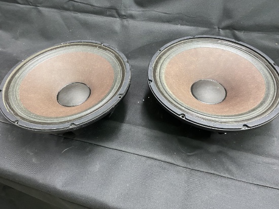 Pair of Vintage Subwoofer Speakers