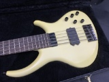 Vintage Tobias Bass Guitar in Case