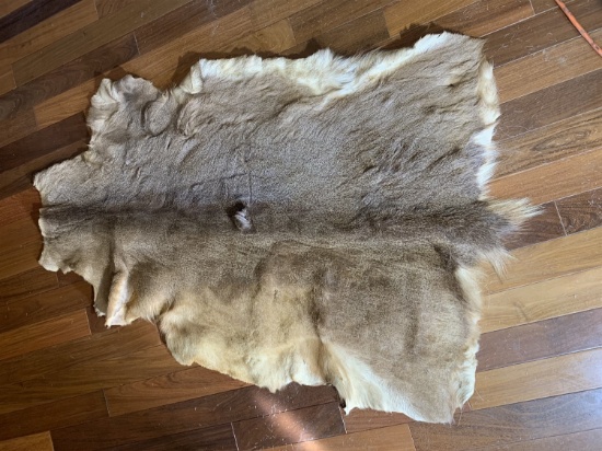 Deer Hide