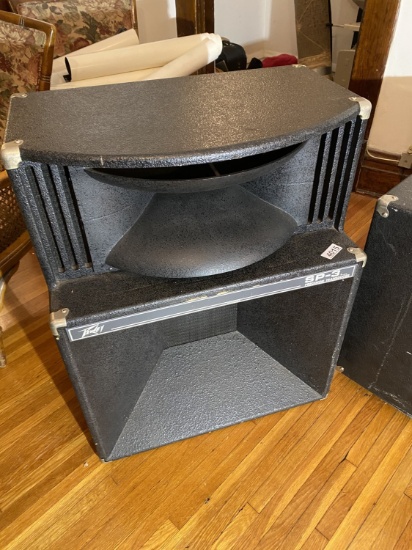 Vintage Peavey SP-3 Precision Transducer Music