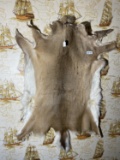 Vintage Deer Fur Hide