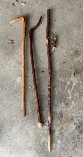 3 Walking Sticks
