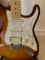 Fender Stratocaster Electric Guitar with Accessories