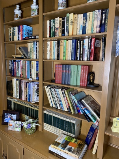 Large lot of books on shelves