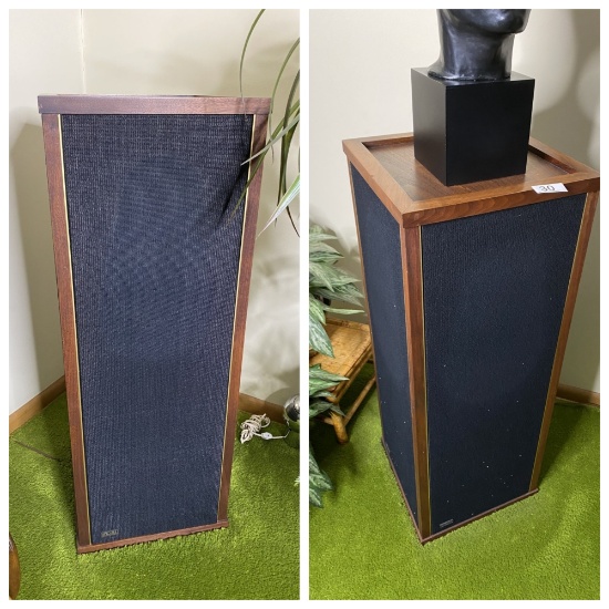 2 Vintage Multi-Directional Tower Speakers by Epicure