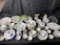 Large lot of Warwick China