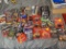 Large Lot of Mostly NASCAR diecast Cars in packaging