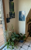 7 Pieces of Artwork and Plants