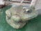 Large sized pottery garden frog