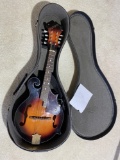 Vintage Mandolin by Galveston